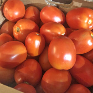 Boîte de tomates italiennes